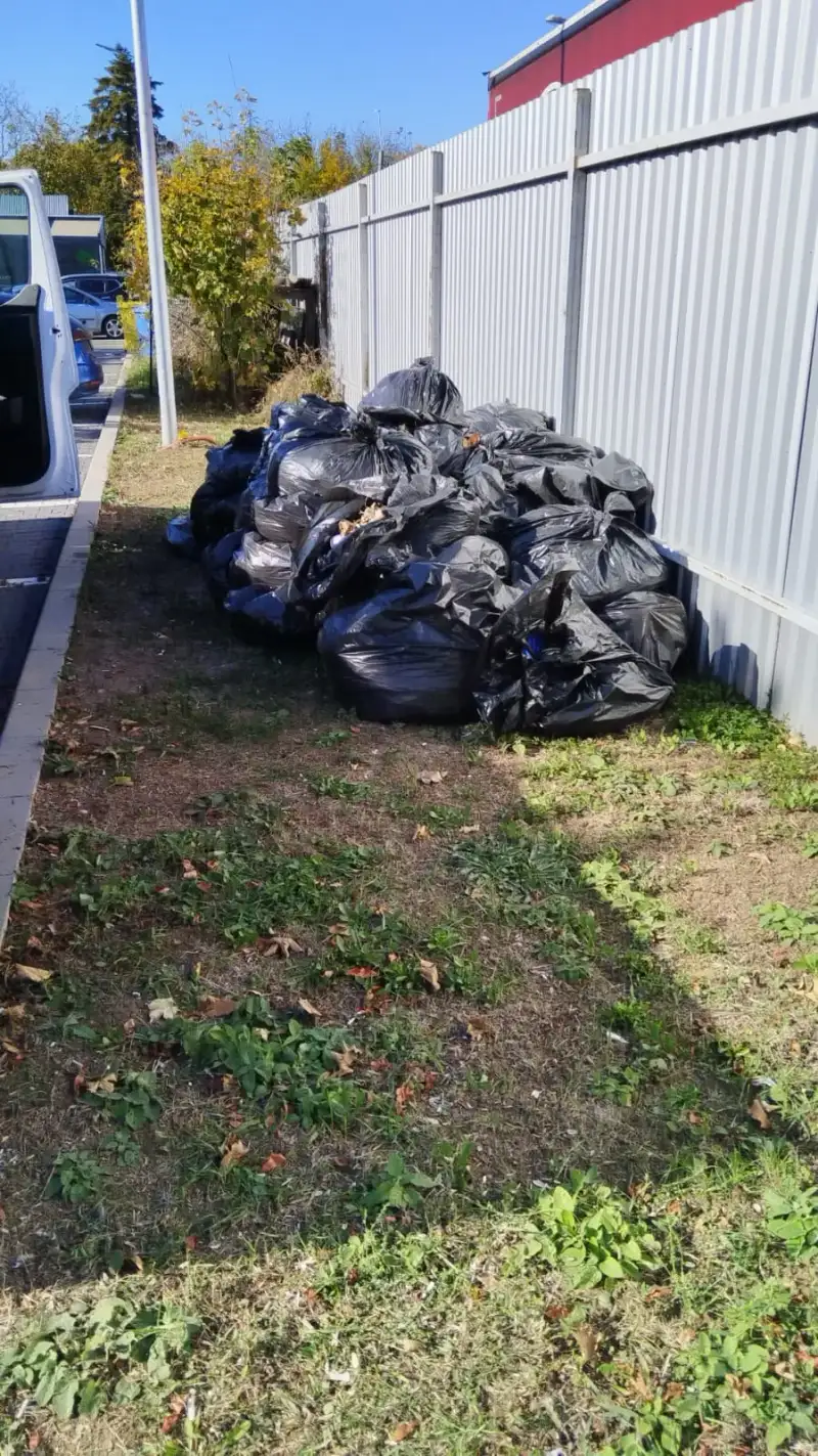 Cum scap de moloz în București: Ghid complet 2026